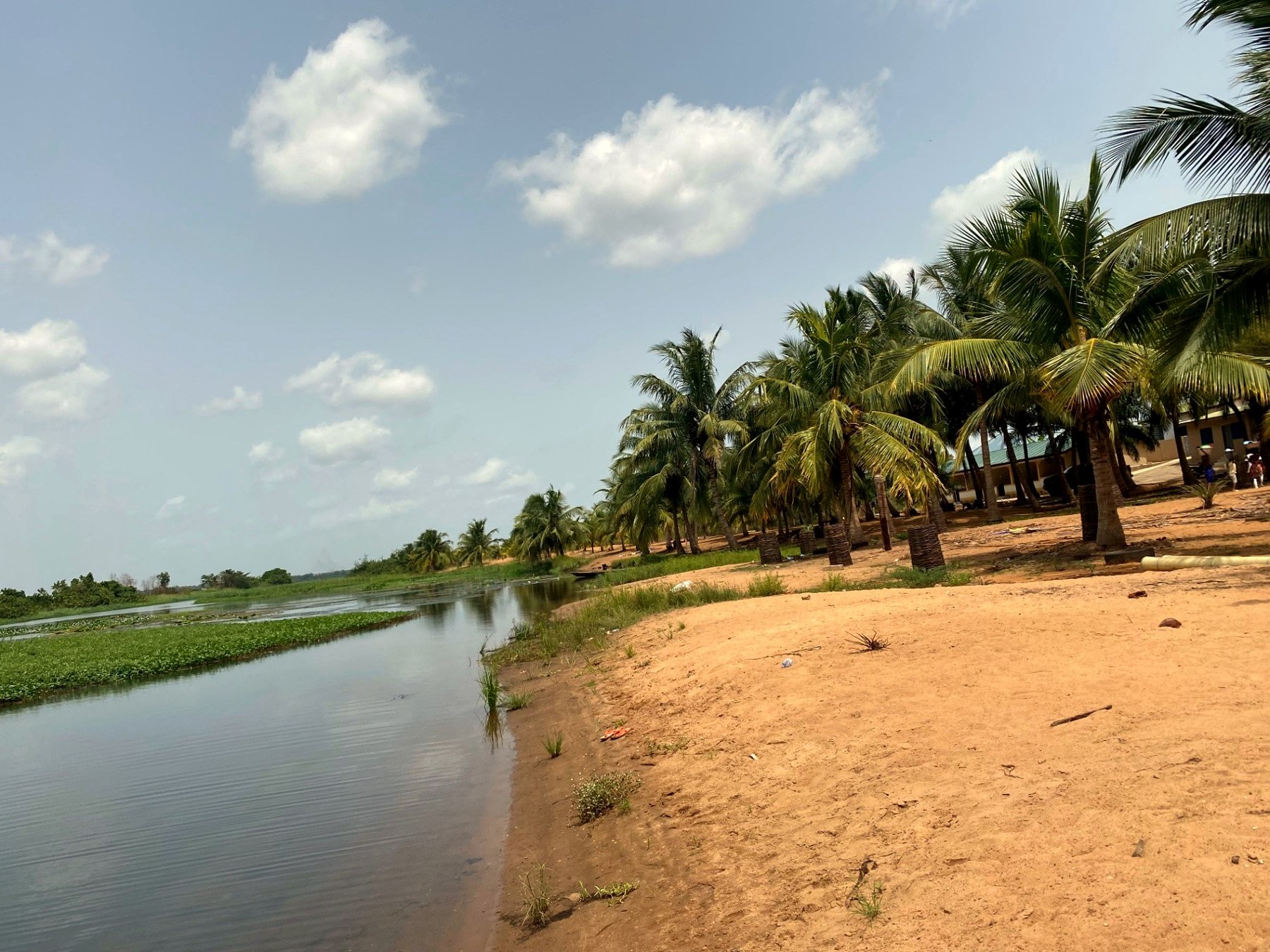The curve of the sandy shoreline meeting the river