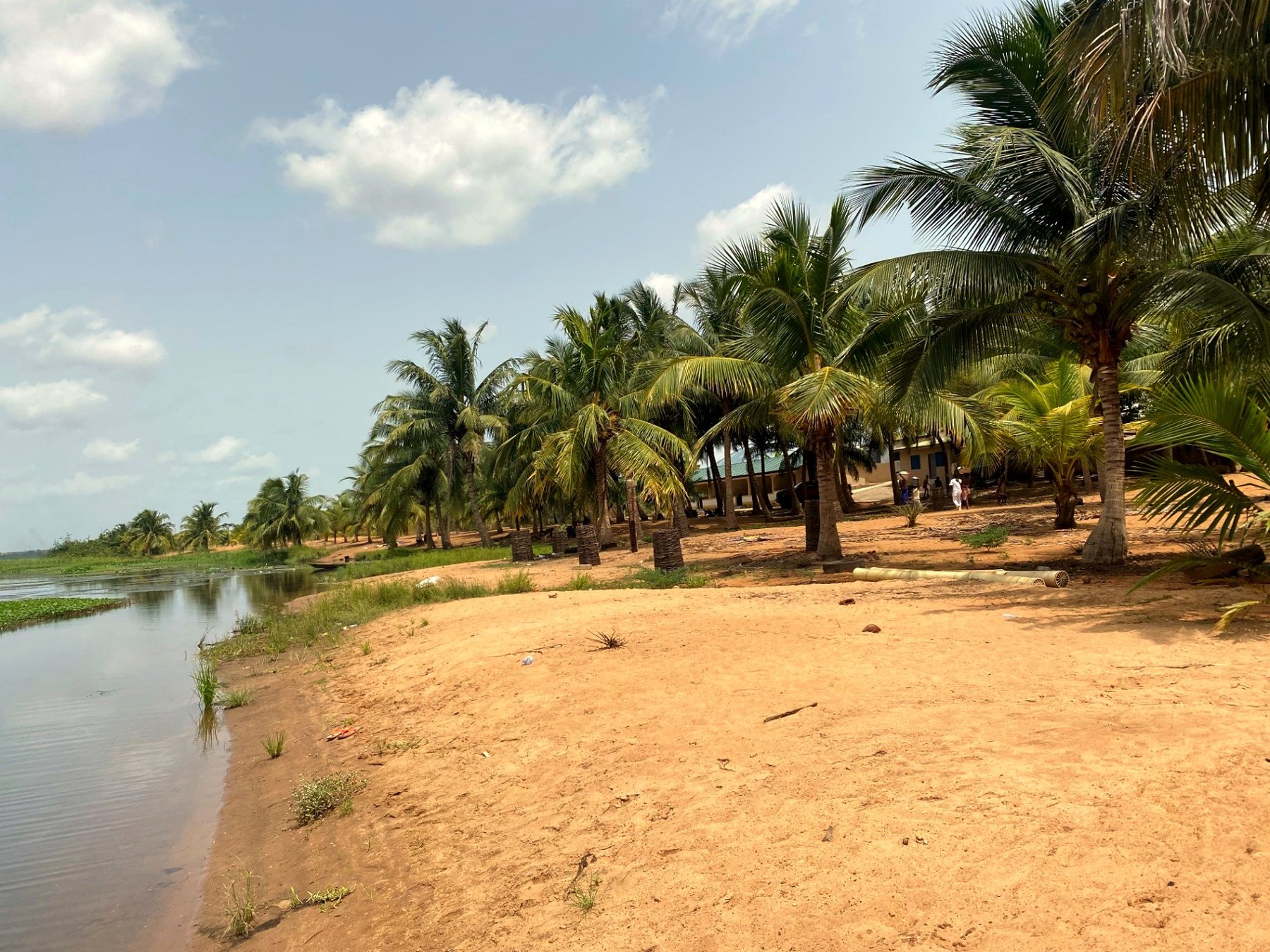 Palm-lined sand beach curving along the Volta at Tefle Destination